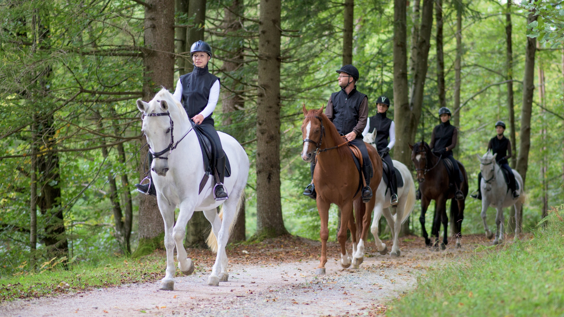 Mon évasion à cheval
