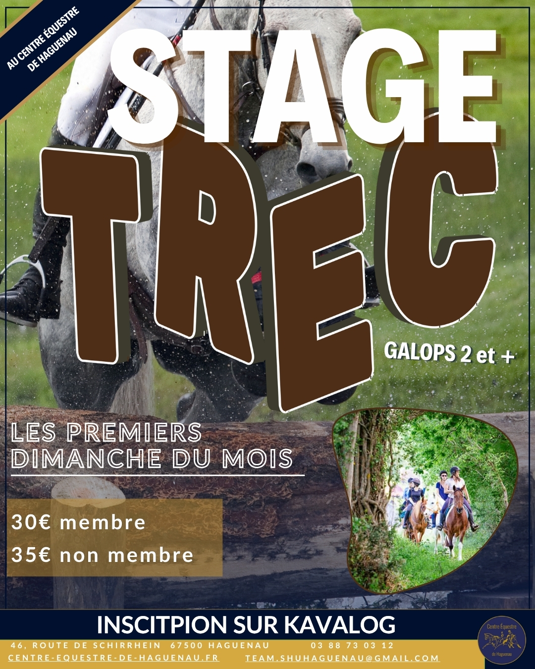 Affiche stage TREC