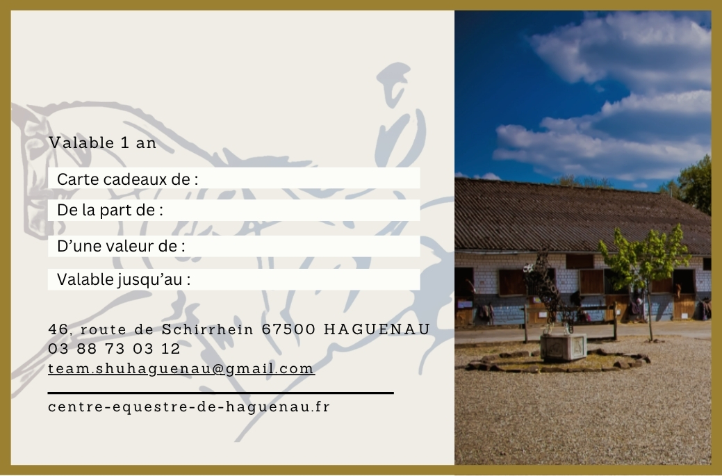 Carte cadeau 4