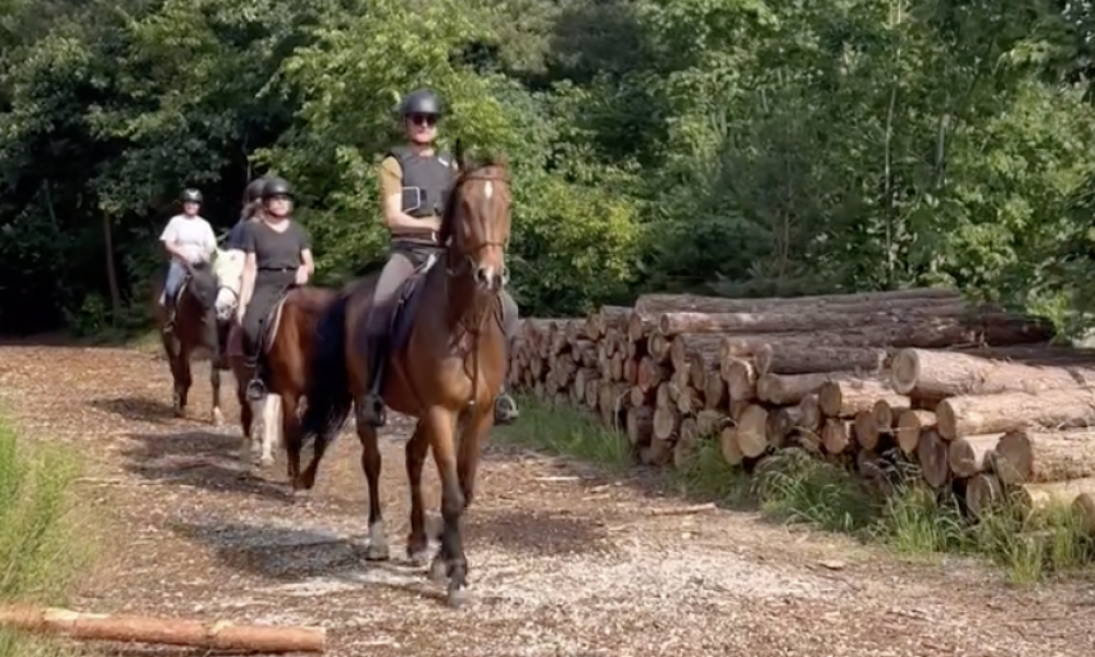 Capture d’écran 2025-11-12 à 15.37.32